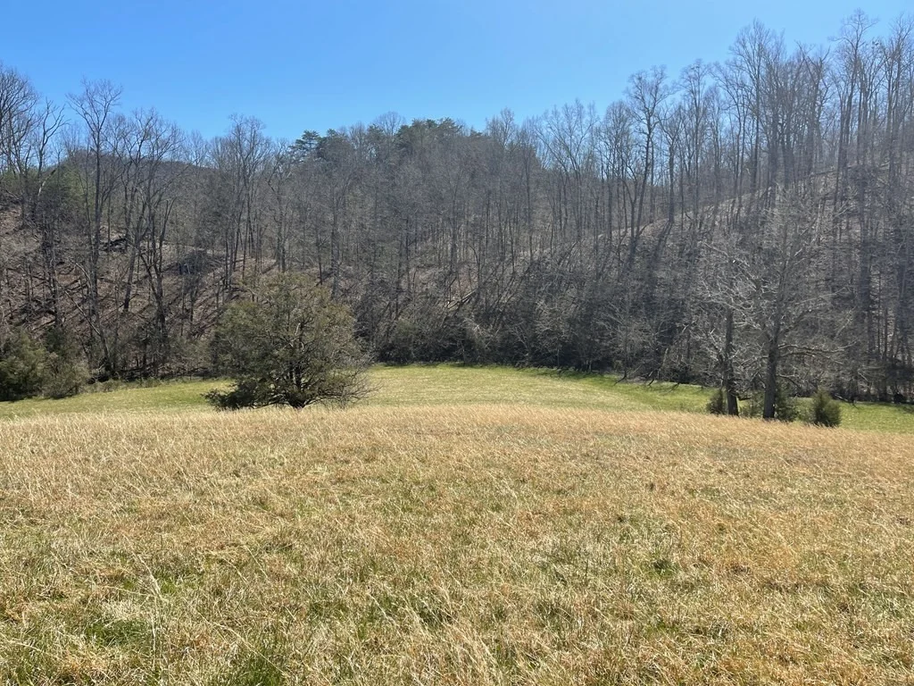 Photo of 1522 Jayell