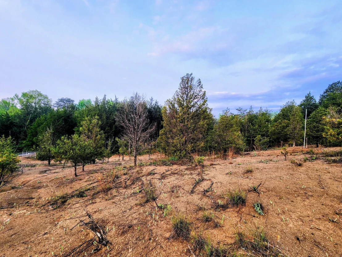 Photo of 702 Driftwood Circle