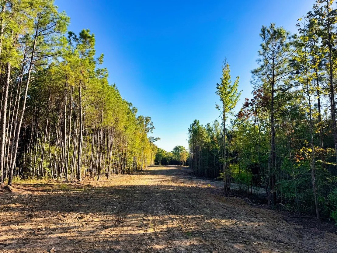Photo of 0 Williams Grove Road