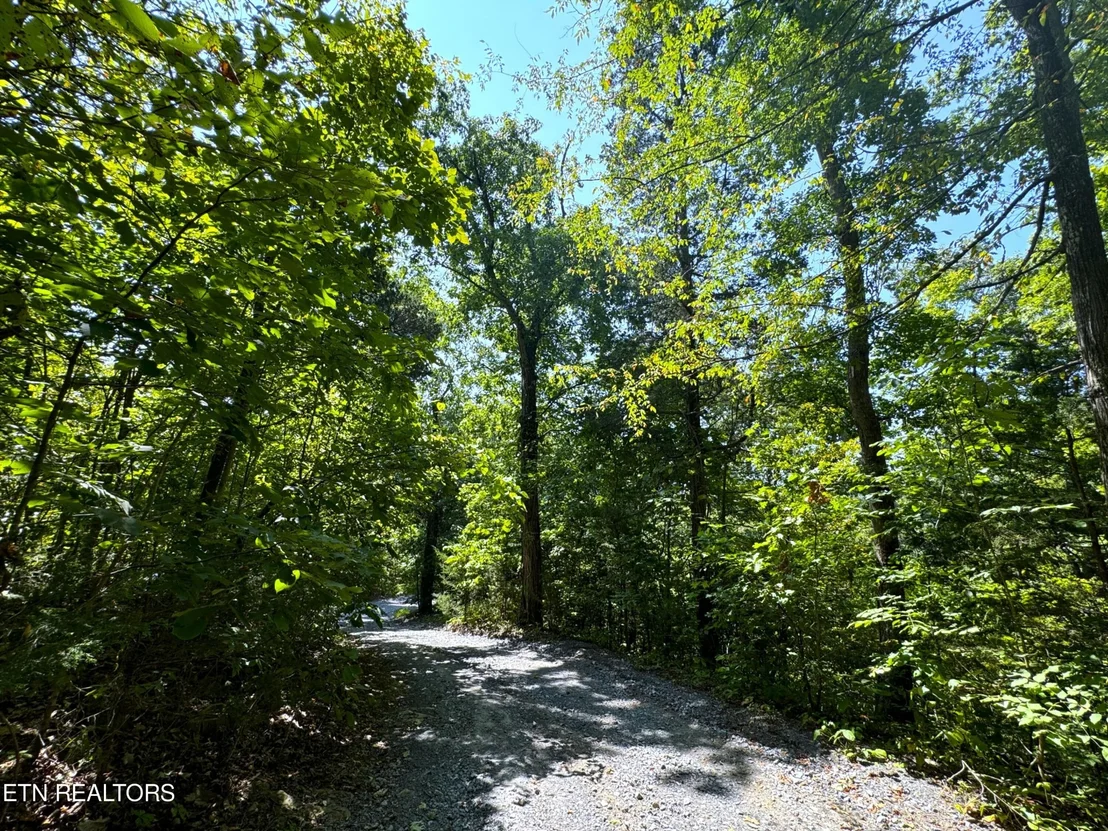 Photo of 164 Buzzard Roost Rd