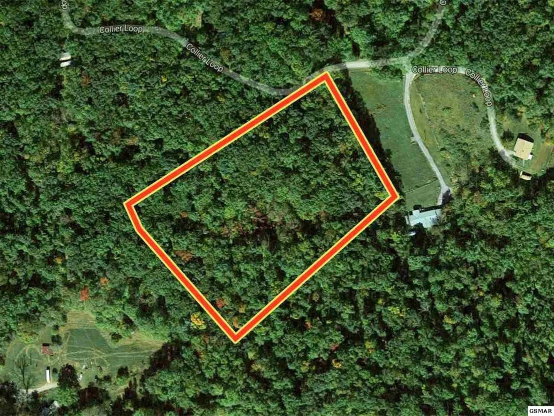Photo of 3684 Collier Loop