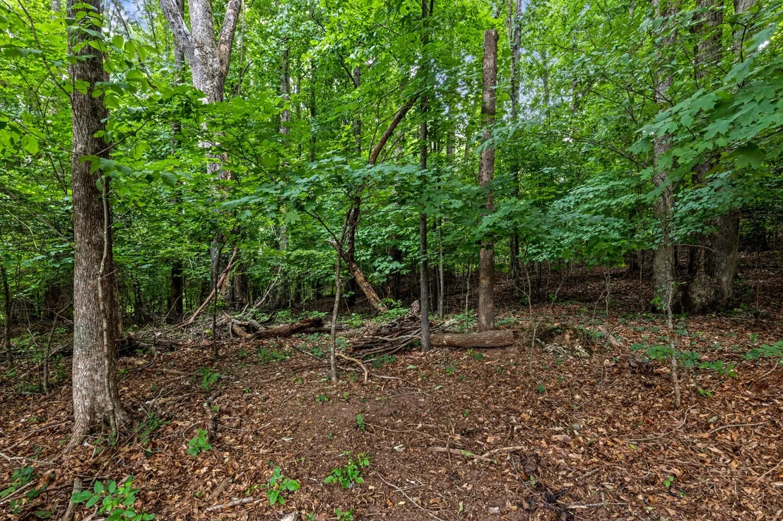 Photo of 7813 Clara Chase Drive