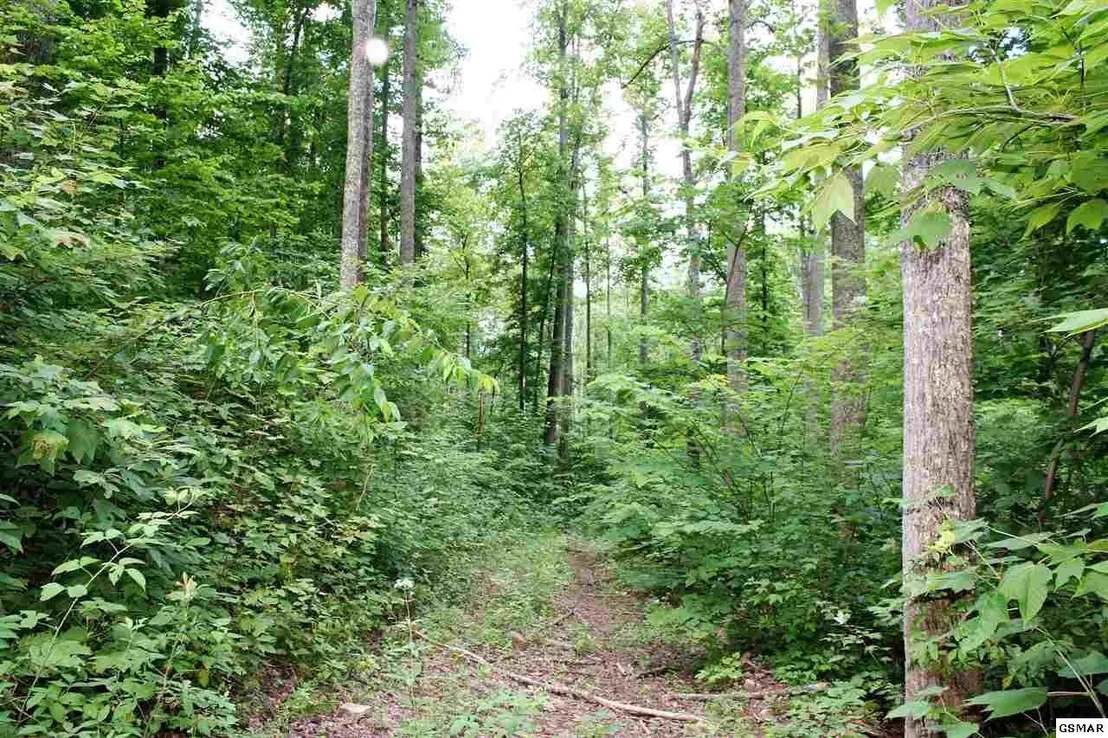 Photo of 0 Off Collier Loop