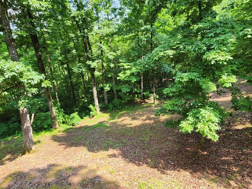 Photo of 1939 Hodgetown Road