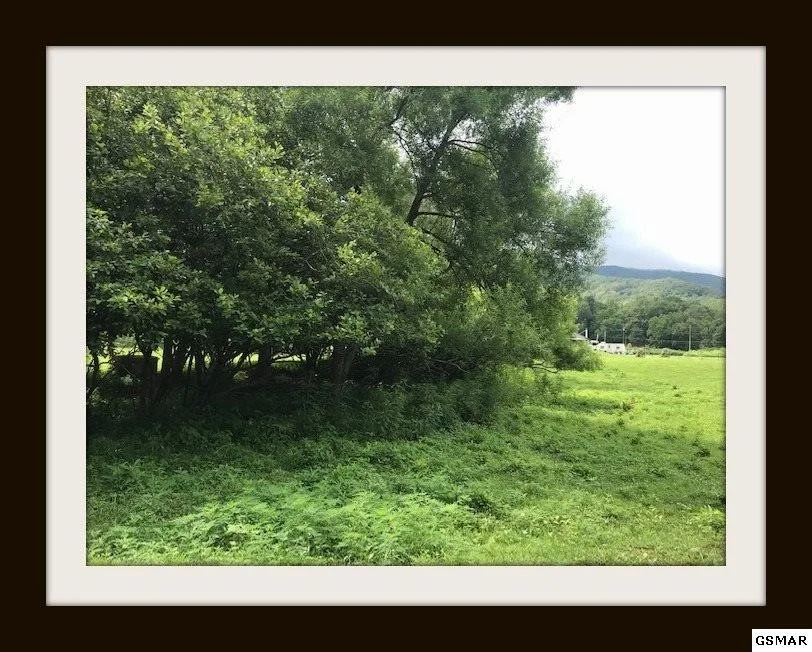 Photo of 3610 Sugar Camp Circle