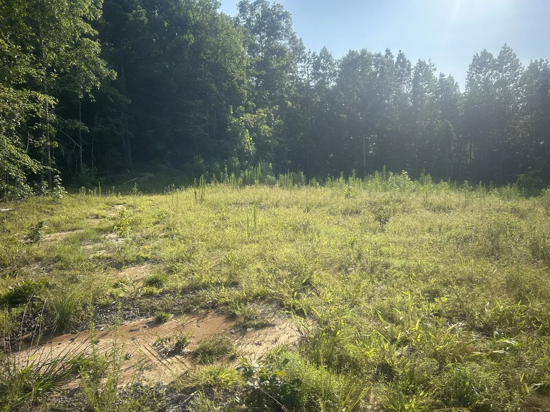 Photo of 2853 Old Natchez Trace Trail