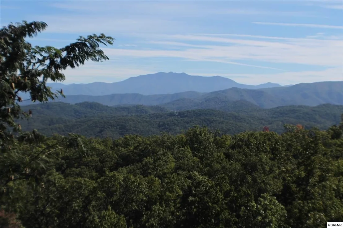 Photo of 3240 Laurel Cove Trail