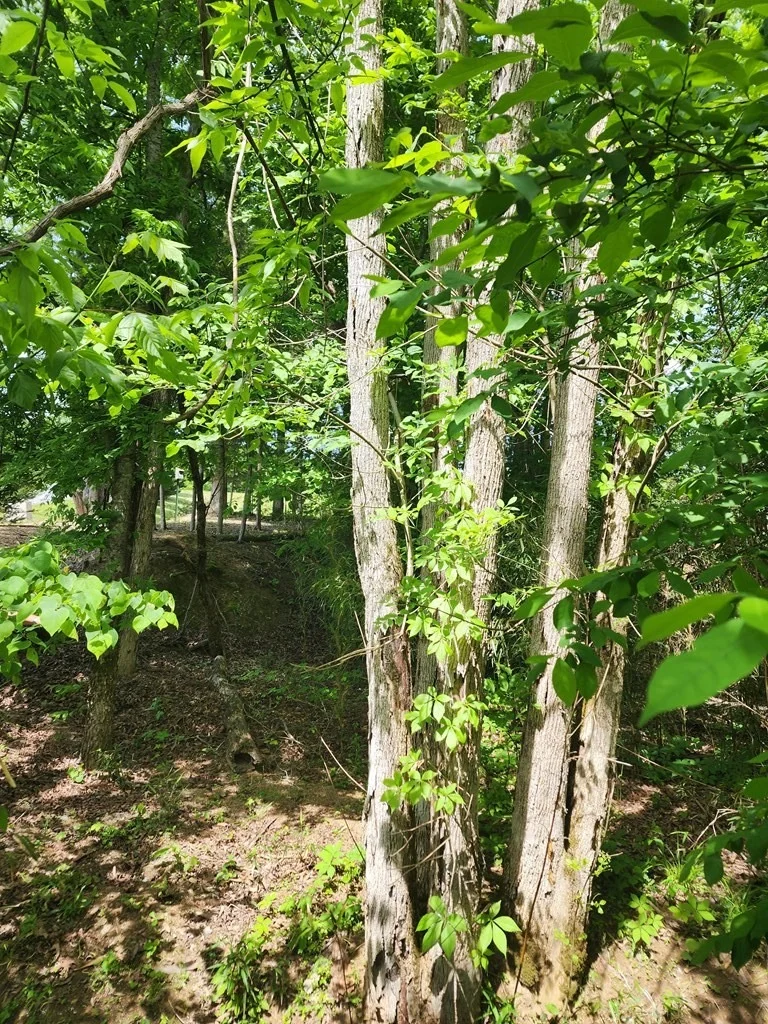 Photo of 16 Red Bud Lane