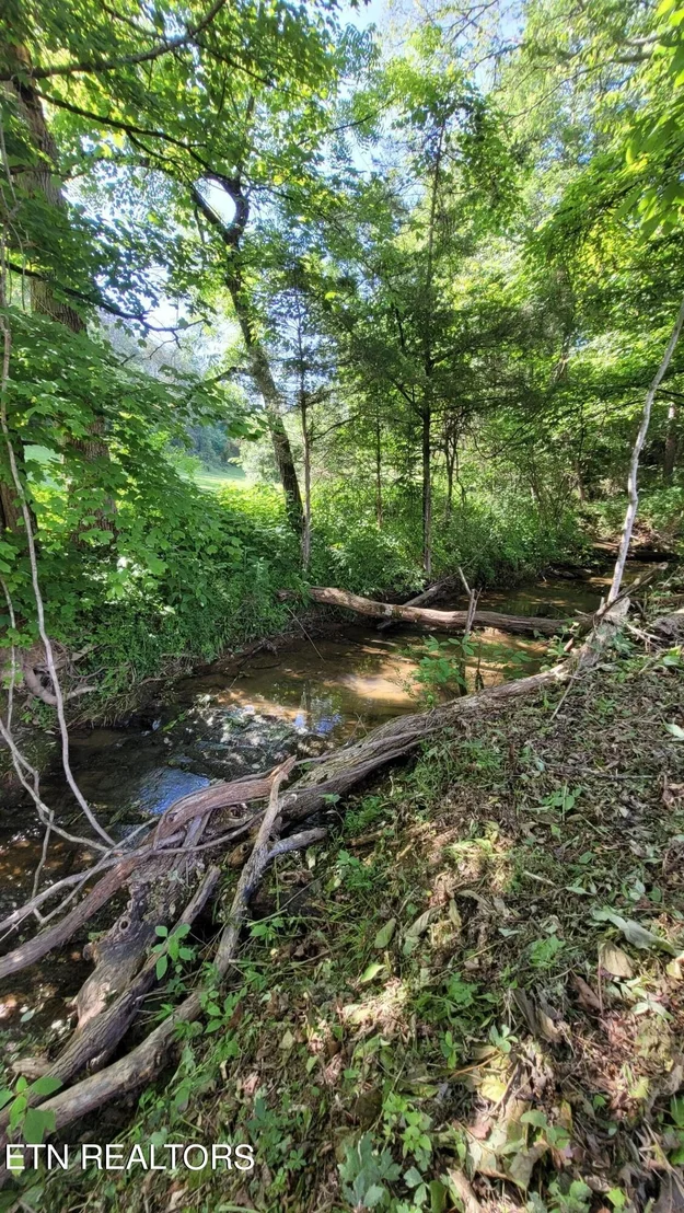 Photo of 1362 Mortar Rd Rd