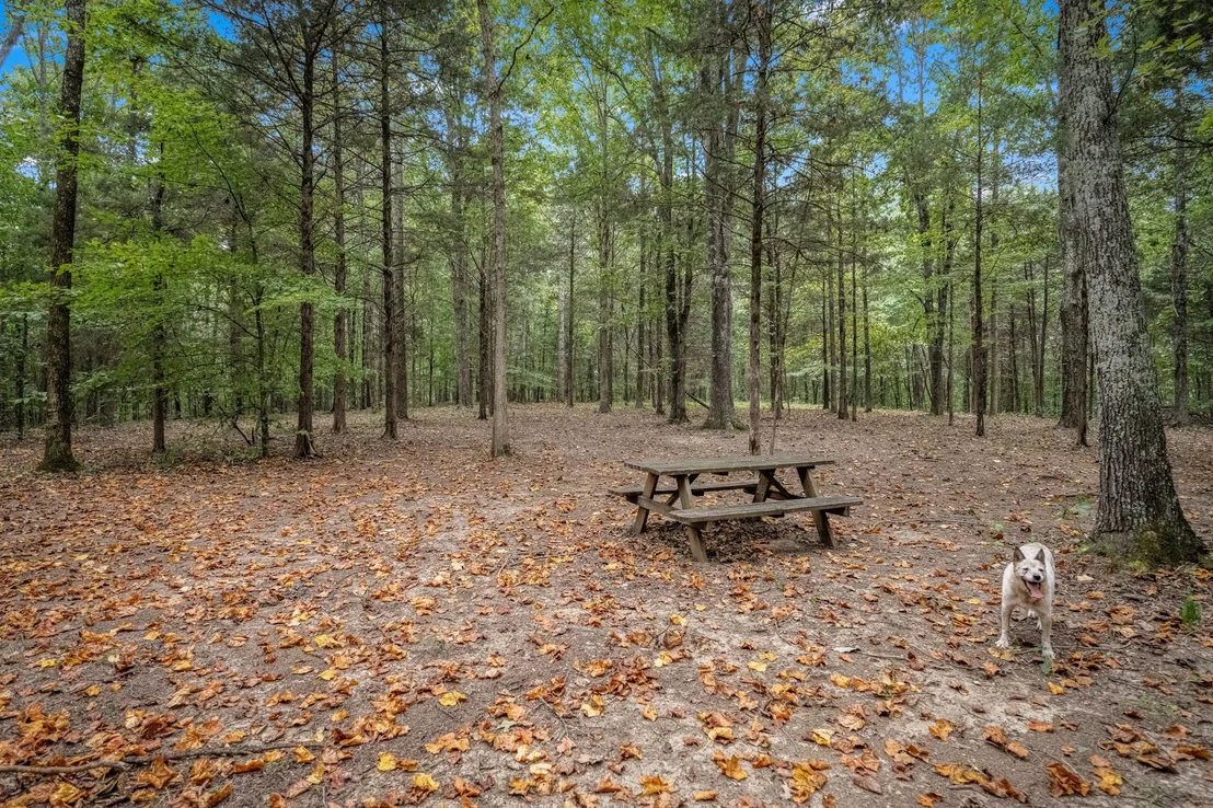 Photo of 615 Carr Creek Rd