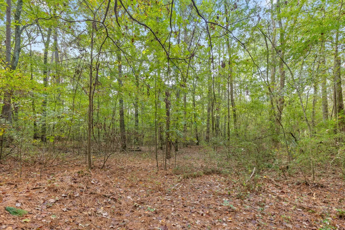 Photo of 0 Carolyn Drive
