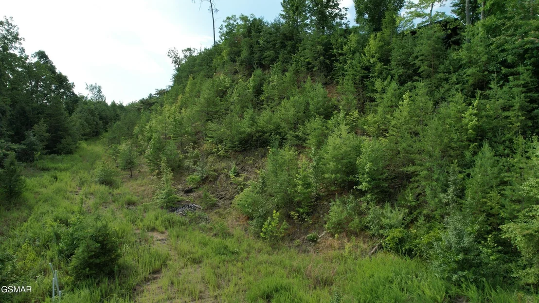 Photo of 3150 Cherokee Valley Drive