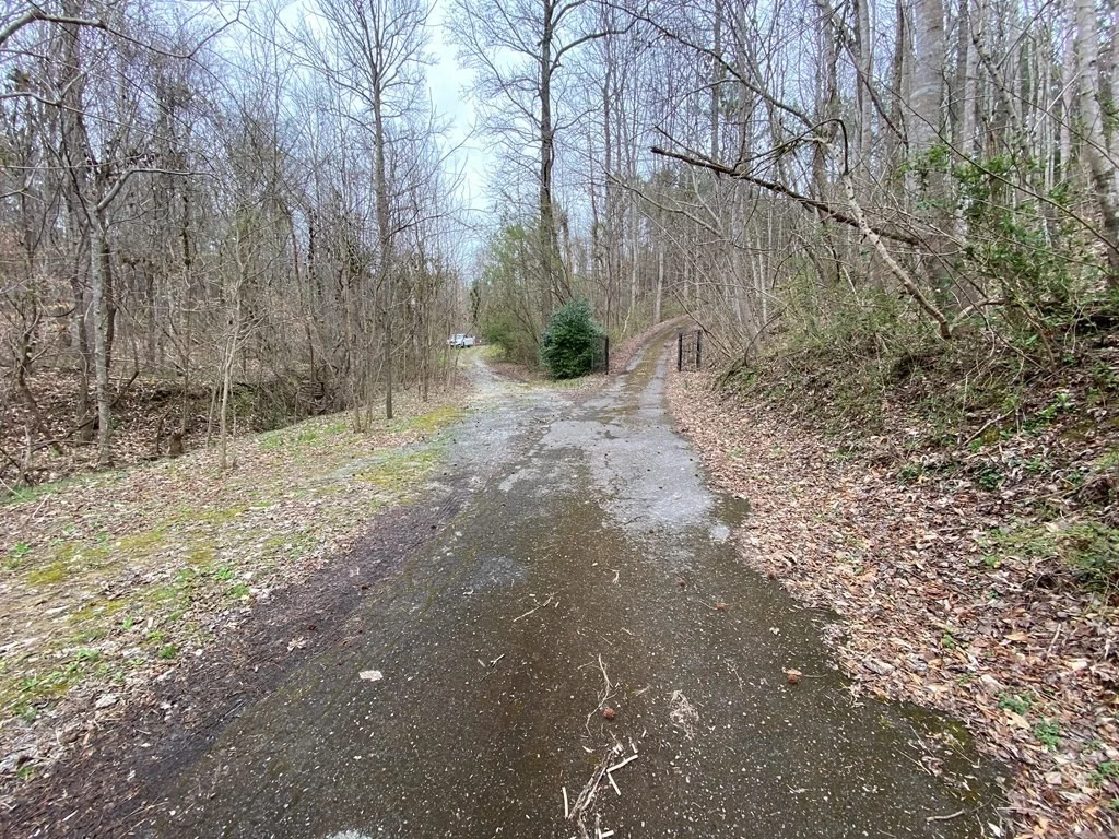 Photo of 4841 Old Walland Highway