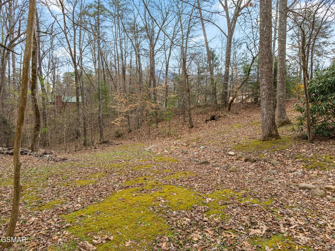 Photo of 3840 Saddle Brook Way
