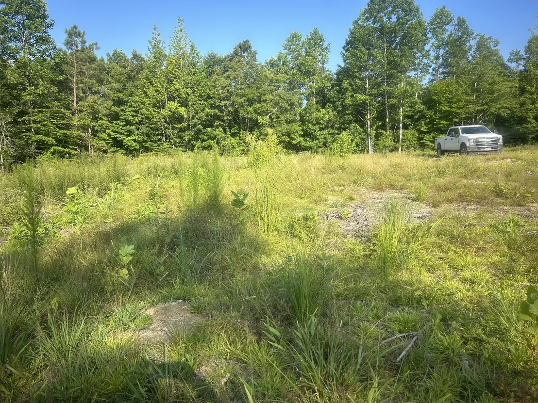 Photo of 2853 Old Natchez Trace Trail