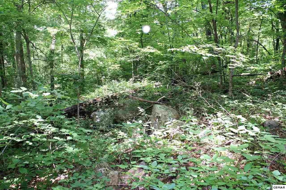 Photo of 0 Off Collier Loop