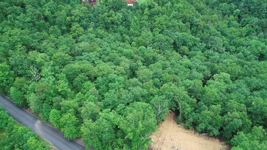 Photo of 19 STACKSTONE Road