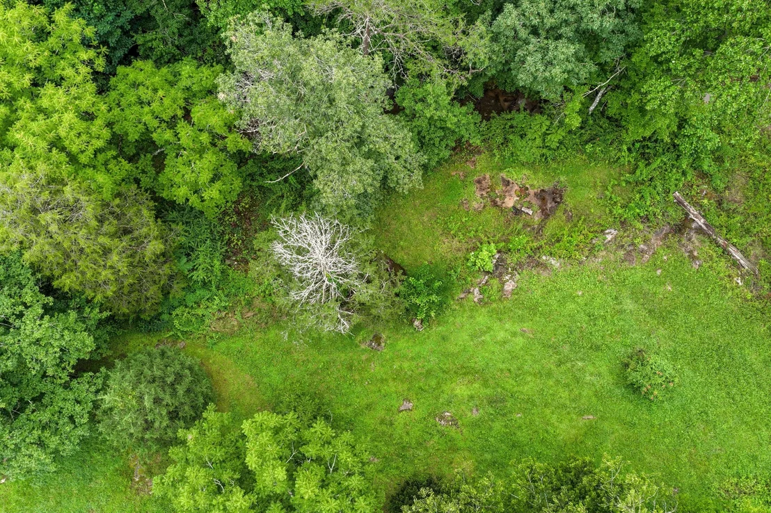 Photo of 404 Luminary Firetower Road