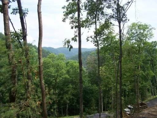 Photo of 514 Chetola Tr