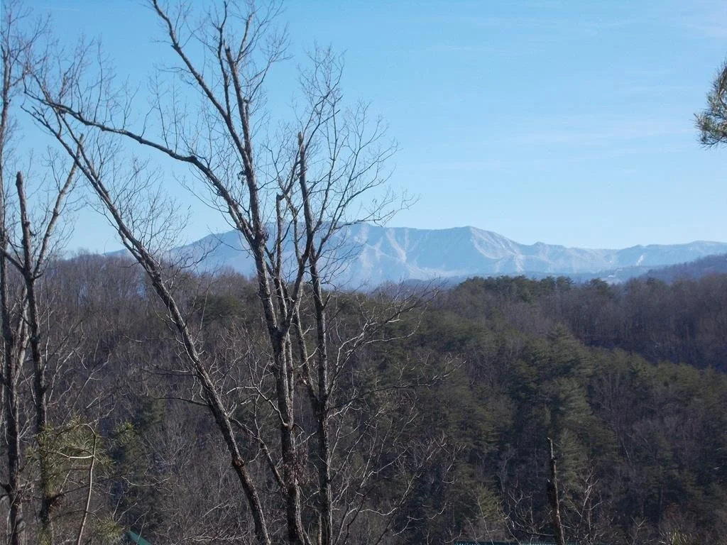 Photo of 1064 Timber Woods Drive