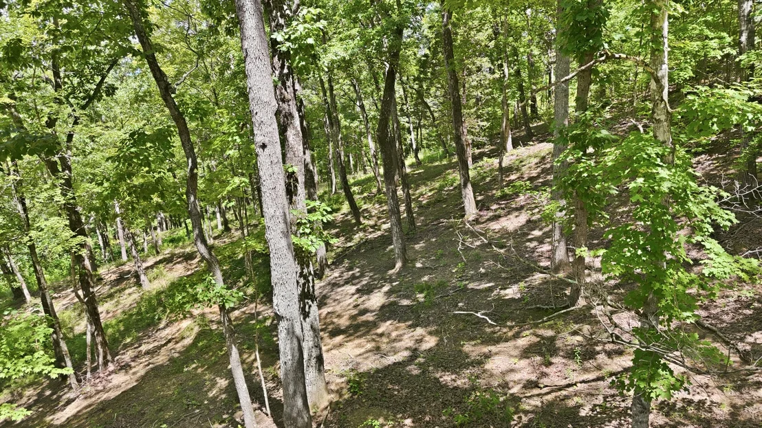 Photo of 103 Ridgeline Trl