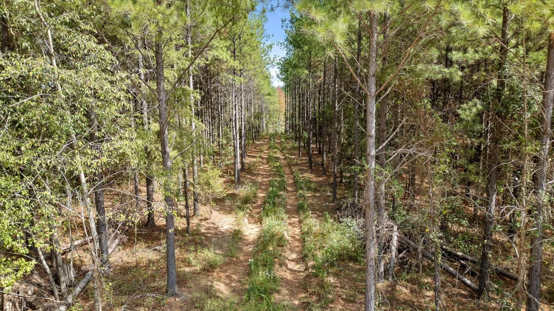 Photo of 5370 River Bend Road