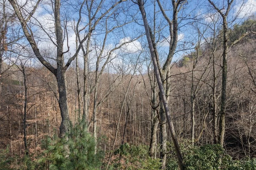 Photo of 3629 Edge Park Drive