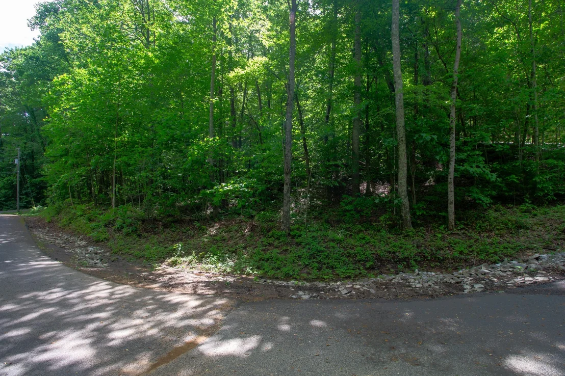 Photo of 3729 Ginseng Way