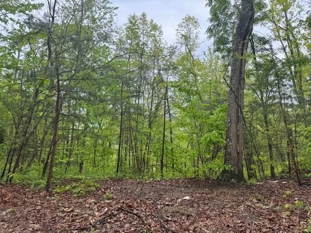 Photo of 2002 Hidden Hollow Way