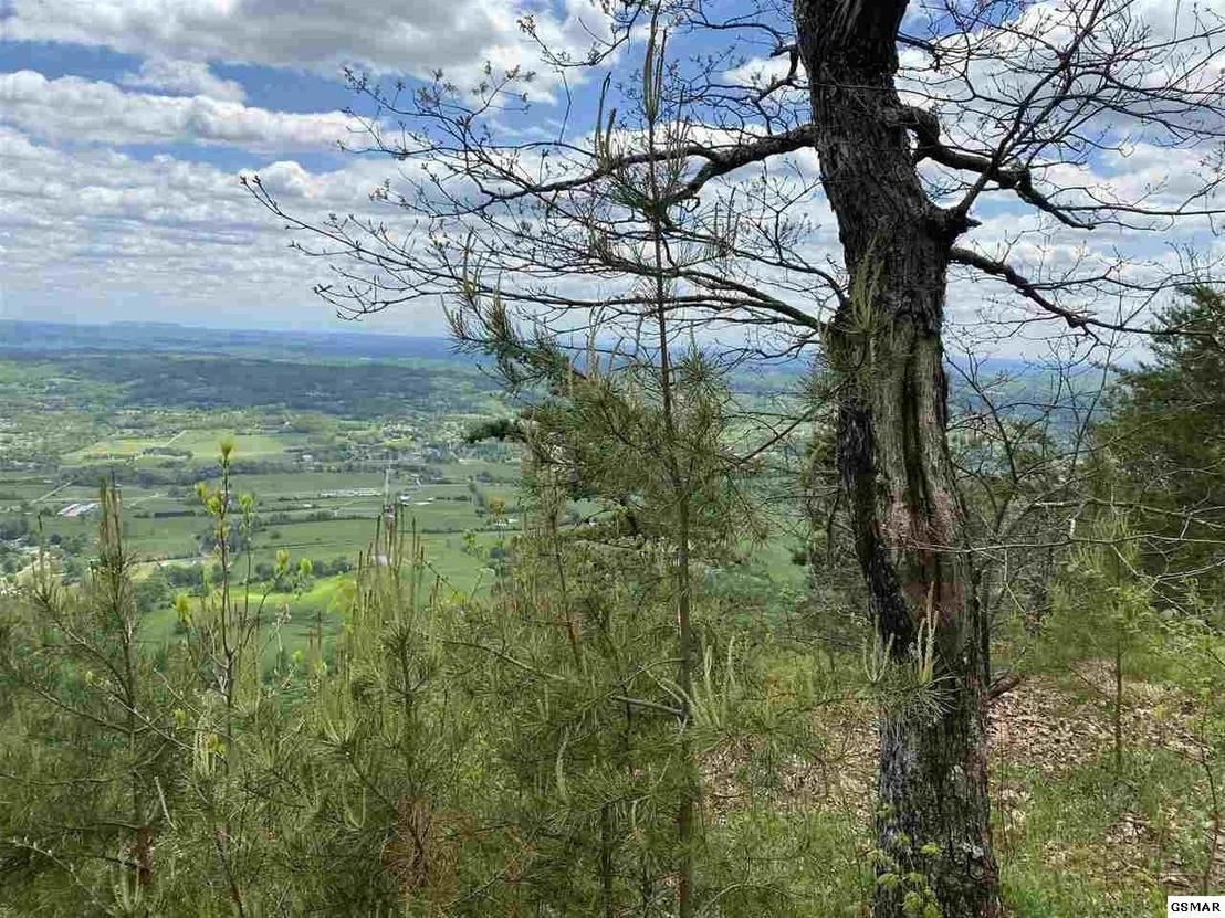 Photo of 38 McClouds Trail