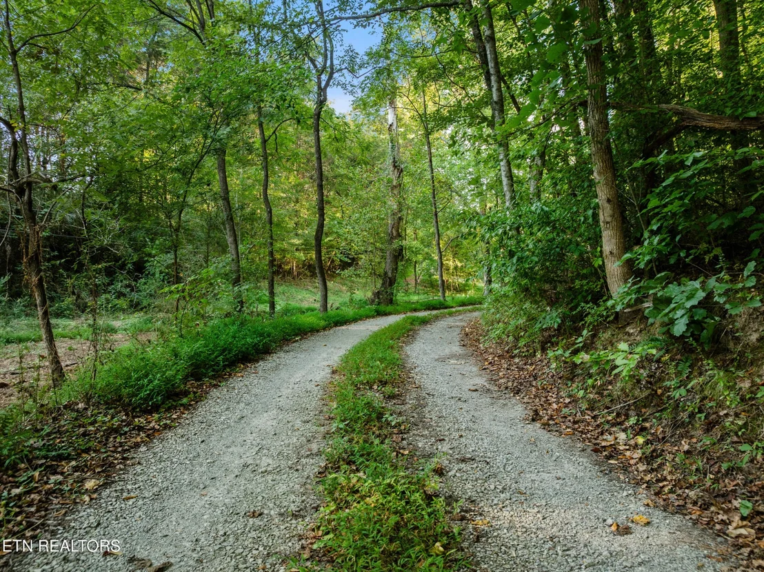 Photo of 4331 Cabbage Drive