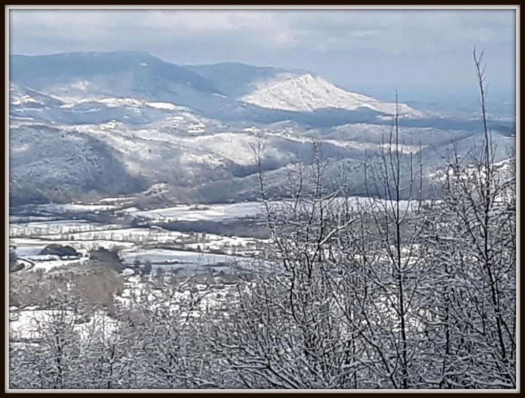 Photo of 3750 COVE MOUNTAIN Road