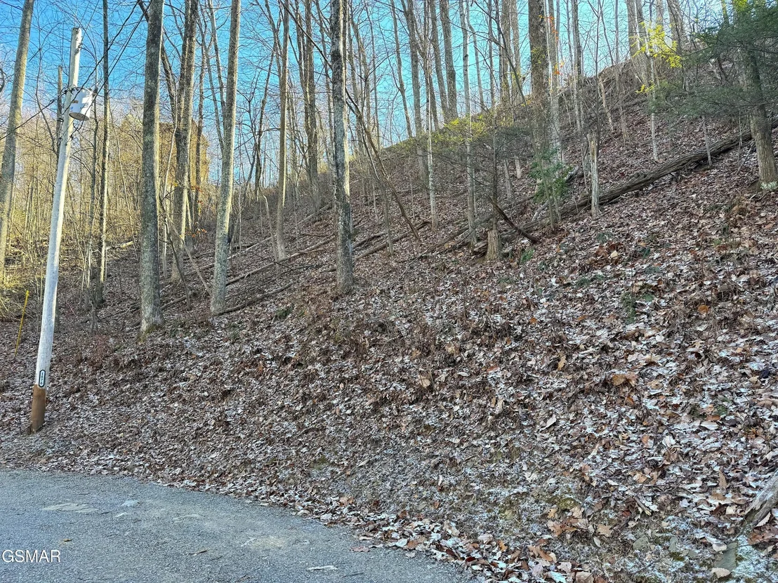 Photo of 1872 Orchard Drive