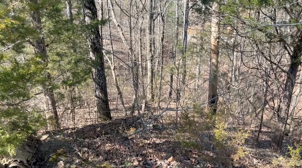Photo of 1241 Flat Creek Road
