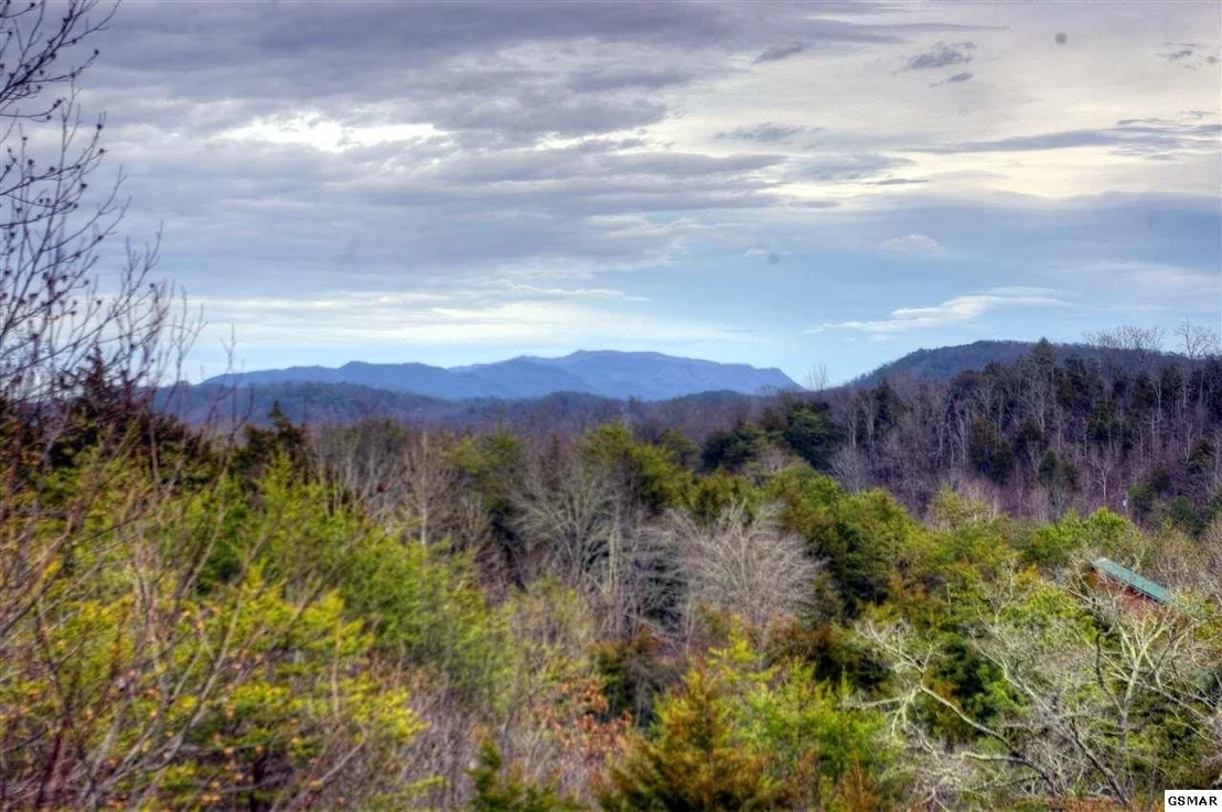 Photo of 1706 Springer Road