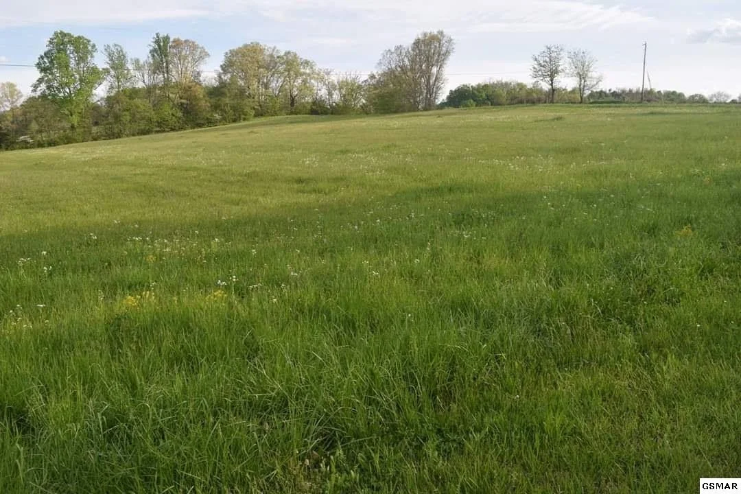 Photo of 66 Flat Creek