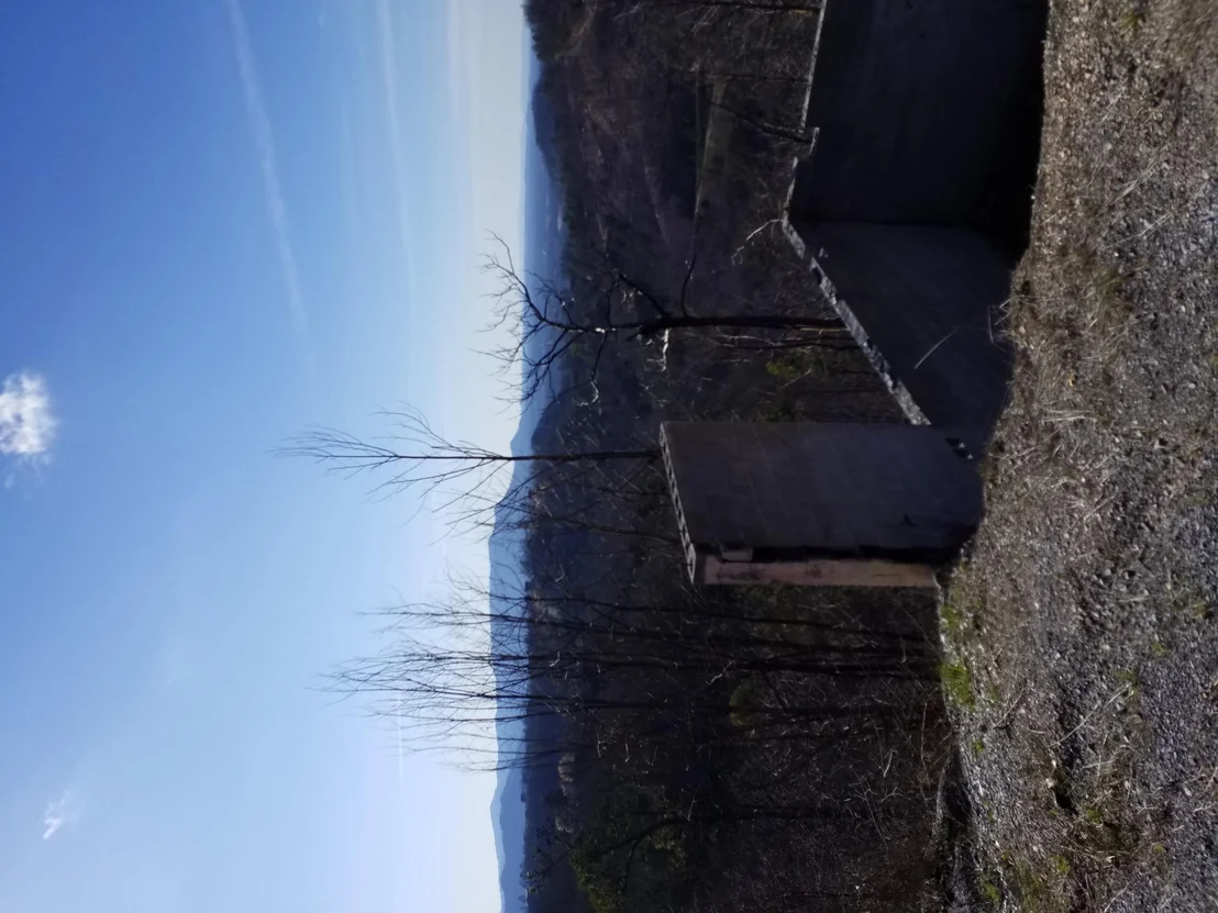 Photo of 2245 Fox Berry Way