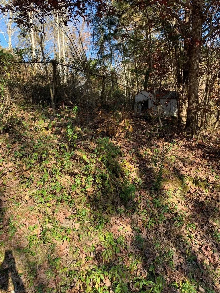 Photo of 1647 Birch Drive