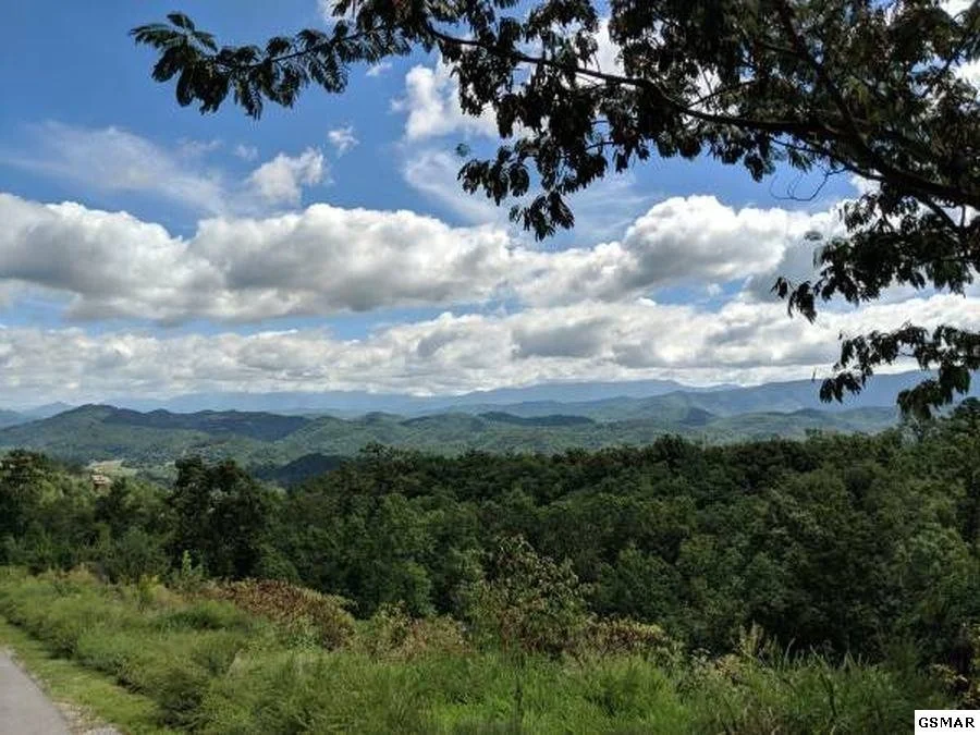 Photo of 3240 Laurel Cove Trail