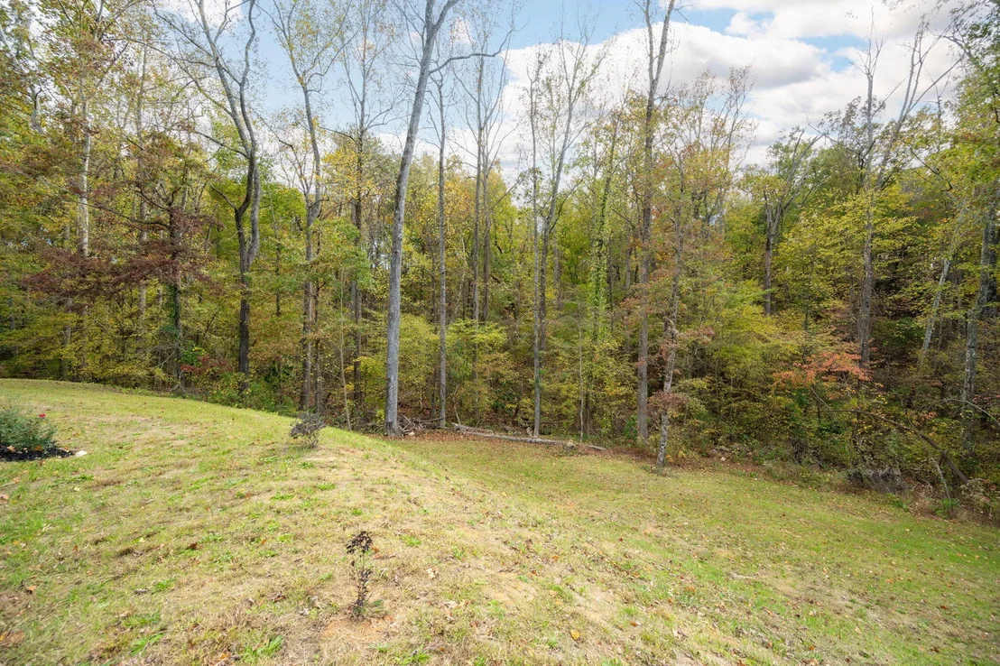 Photo of 162 Hamby Road