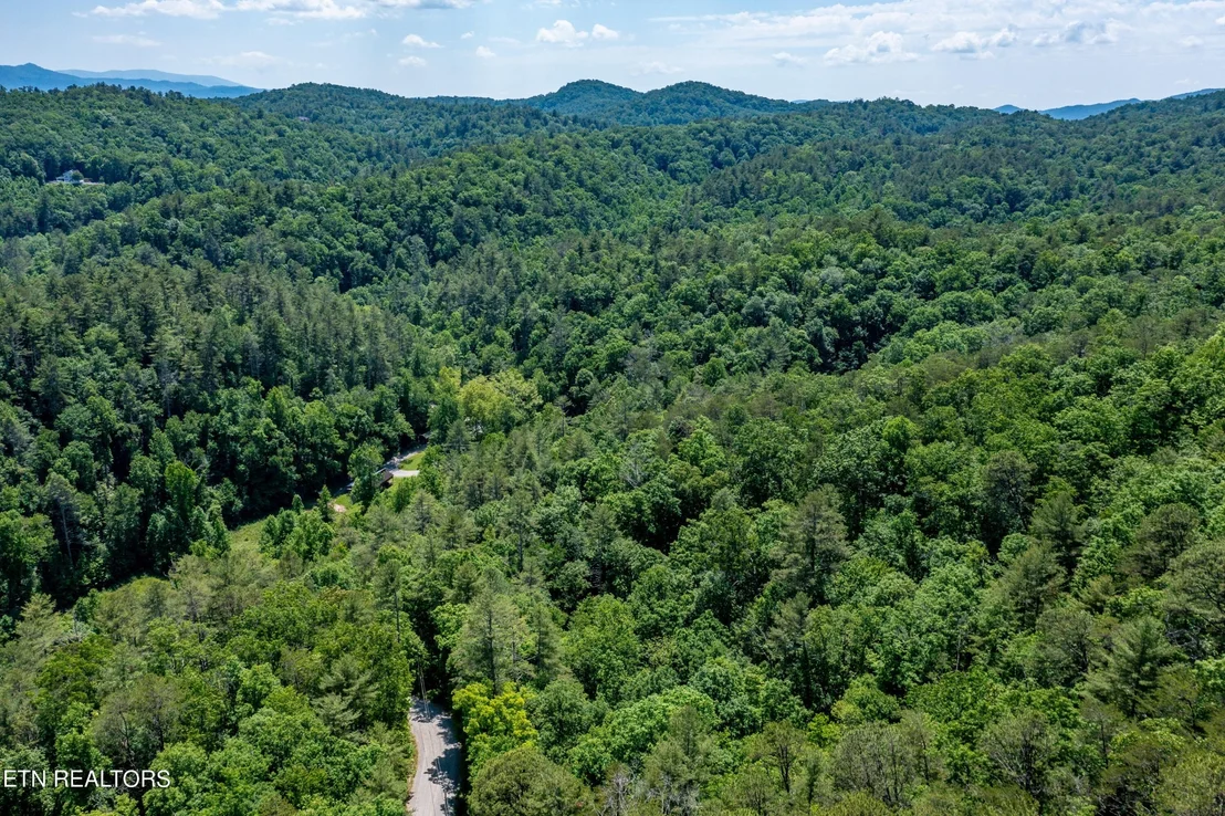Photo of 0 Chilhowee Loop