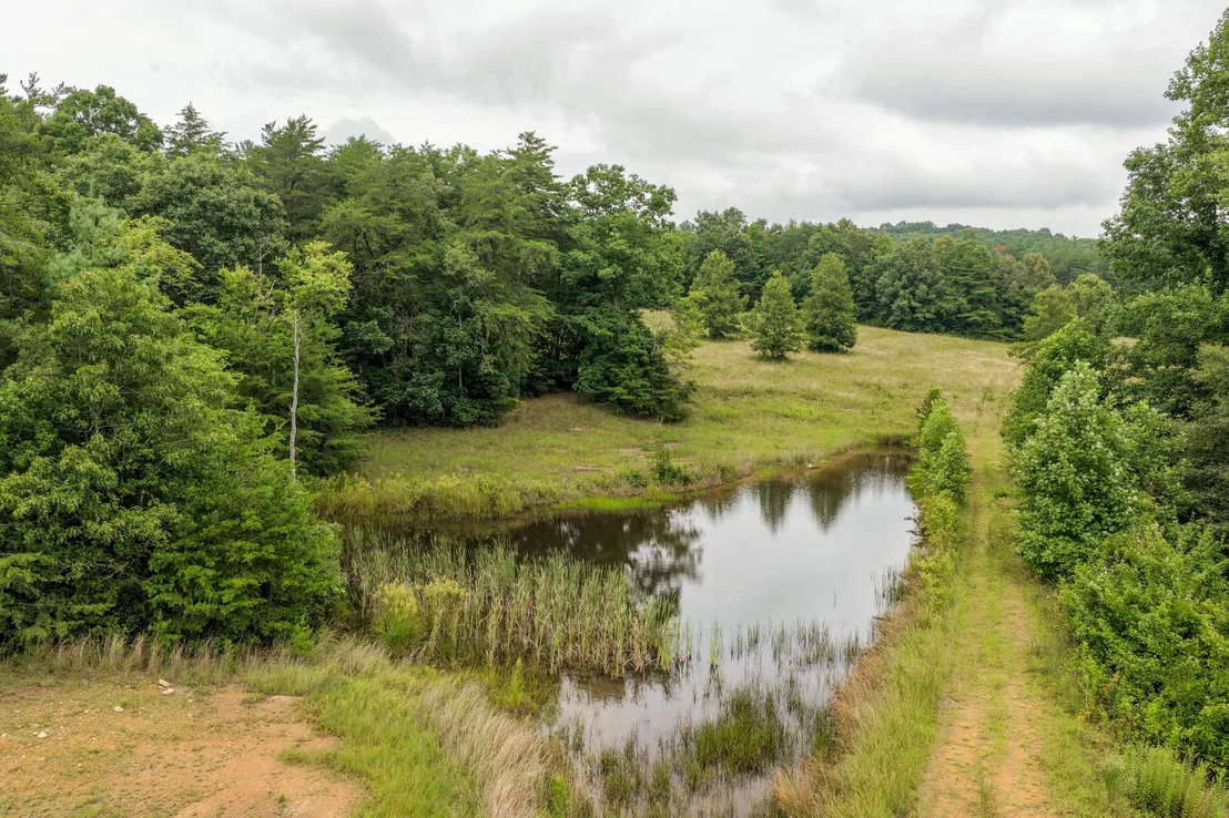 Photo of 404 Luminary Firetower Road