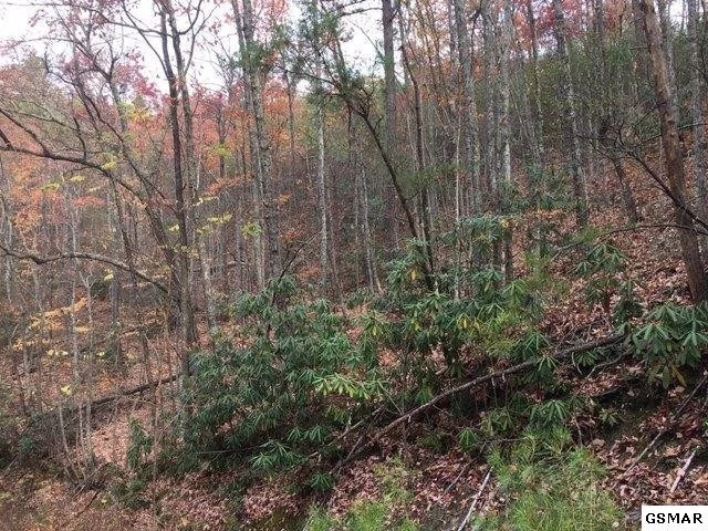 Photo of 509 Sky View Drive
