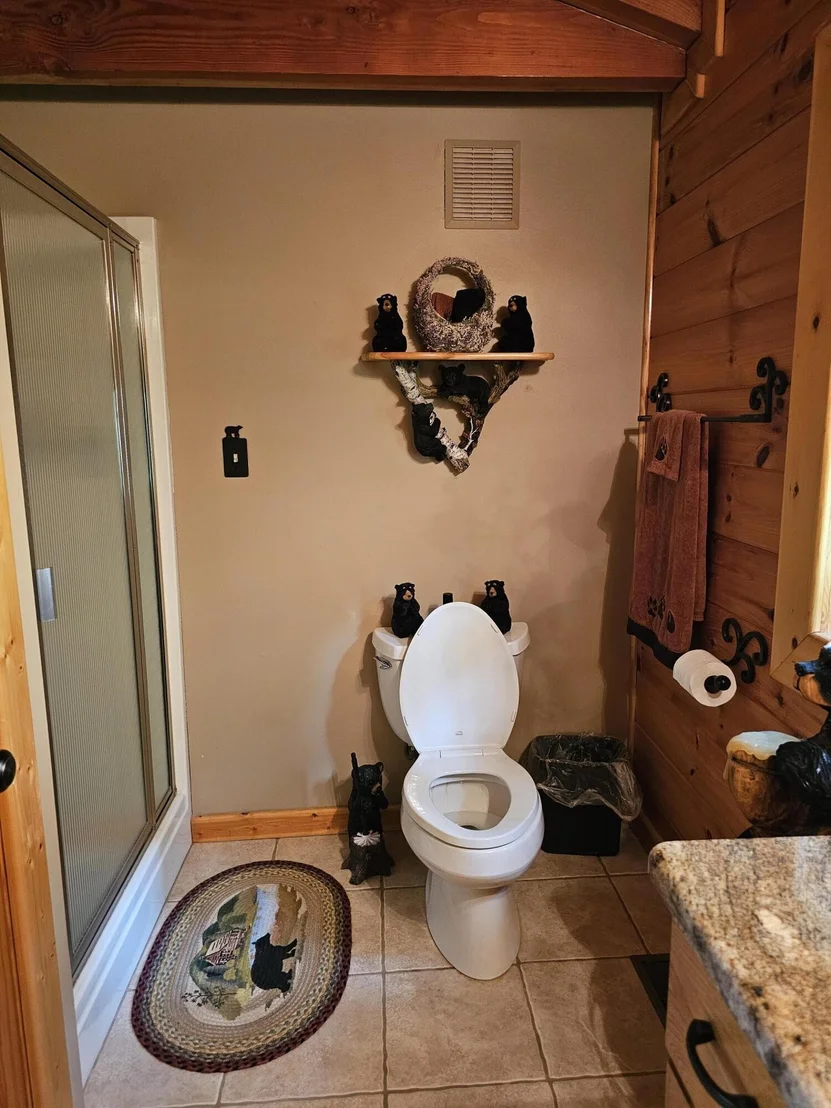 Photo of 2729 Hatcher Mountain Road