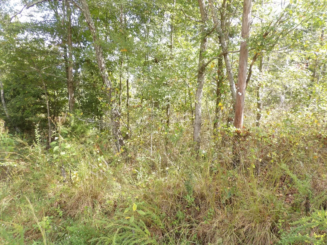 Photo of 112 Oak Ridge Dr