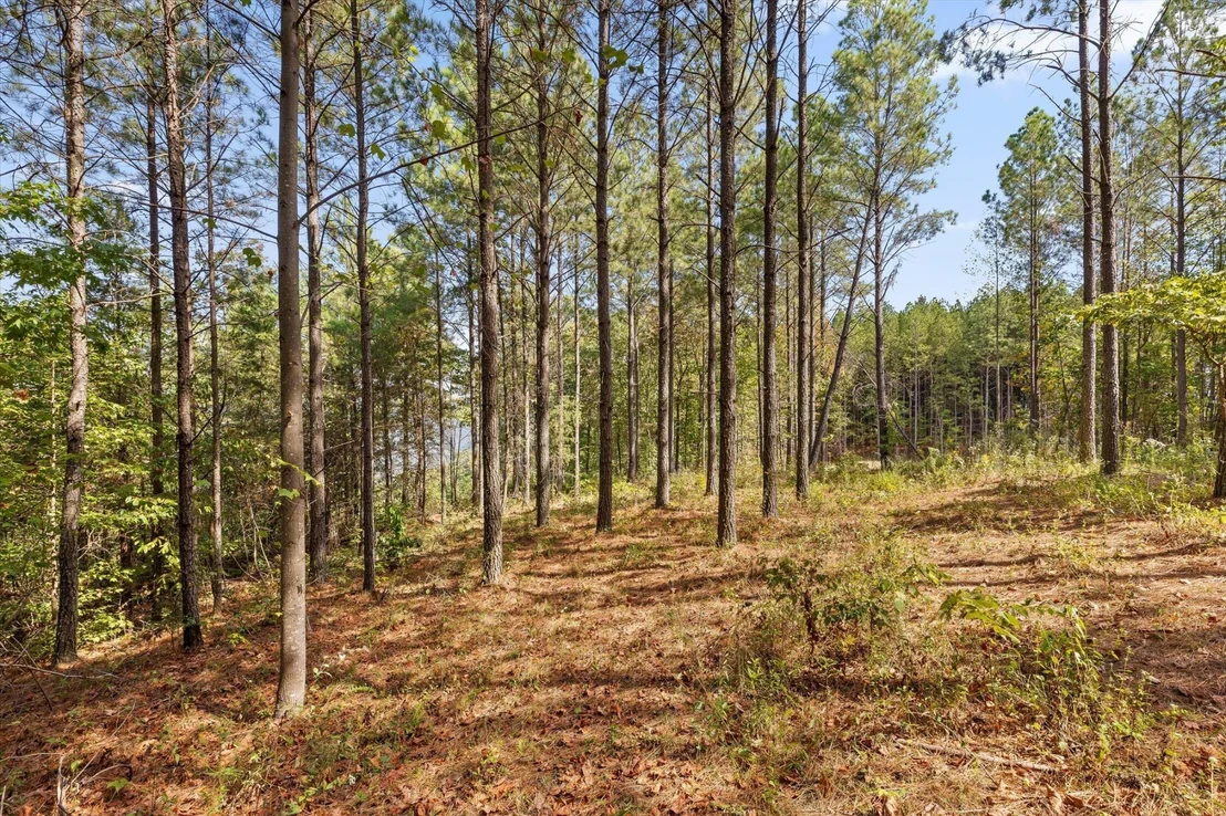 Photo of 5370 River Bend Road