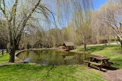 Photo of 1663 Little Cabin Loop