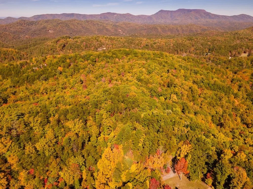 Photo of 3950 Forest Trail Drive