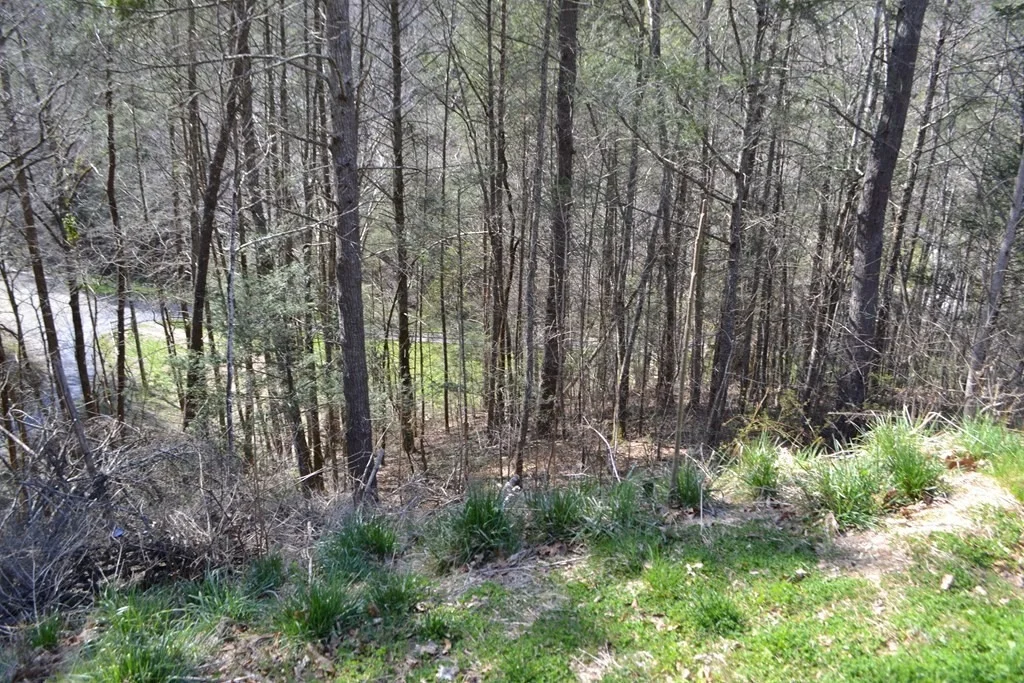 Photo of 1713 Blalock Way