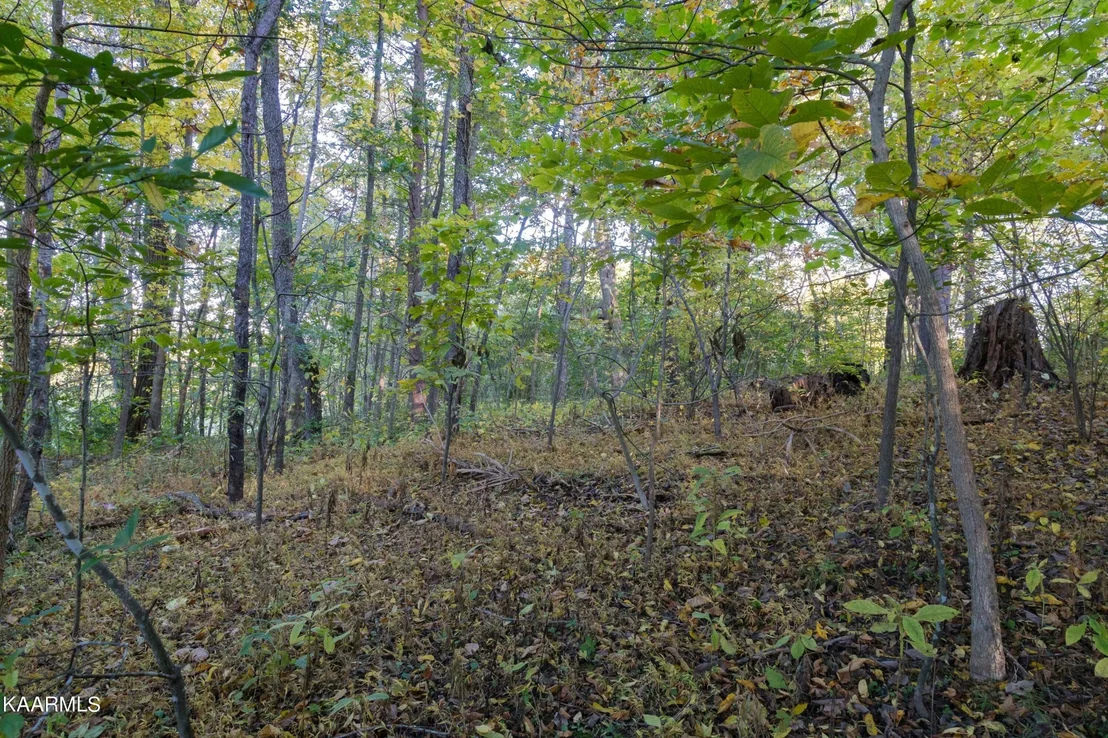Photo of 6 Spring View Drive